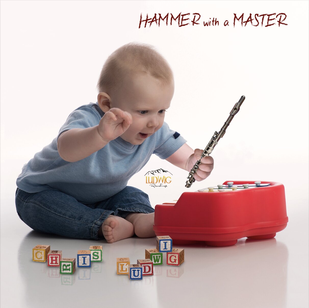 HammerWithaMasterCover